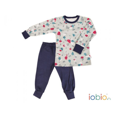 Schlafanzug, zweiteilig "Frosch auf Grau", 100% Baumwolle (kbA)