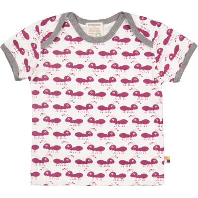 T-Shirt "Ameisen orchidee", "100%" Baumwolle (kbA), mit kurzem Arm, grau abgesetzt 110/116