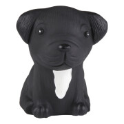 heveas°° "Französische Bulldogge -...