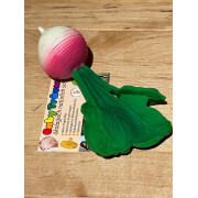 Oli & Carol "Ramona Radieschen the Radish",...