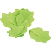 Schneide-Set Salat „mit Salatschüssel fresh“, 11 Teile