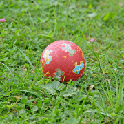 Ball "Hund auf rot", klein, Kautschuk